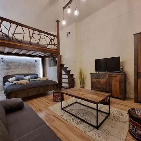 Vintage In Center 公寓 米什科尔茨